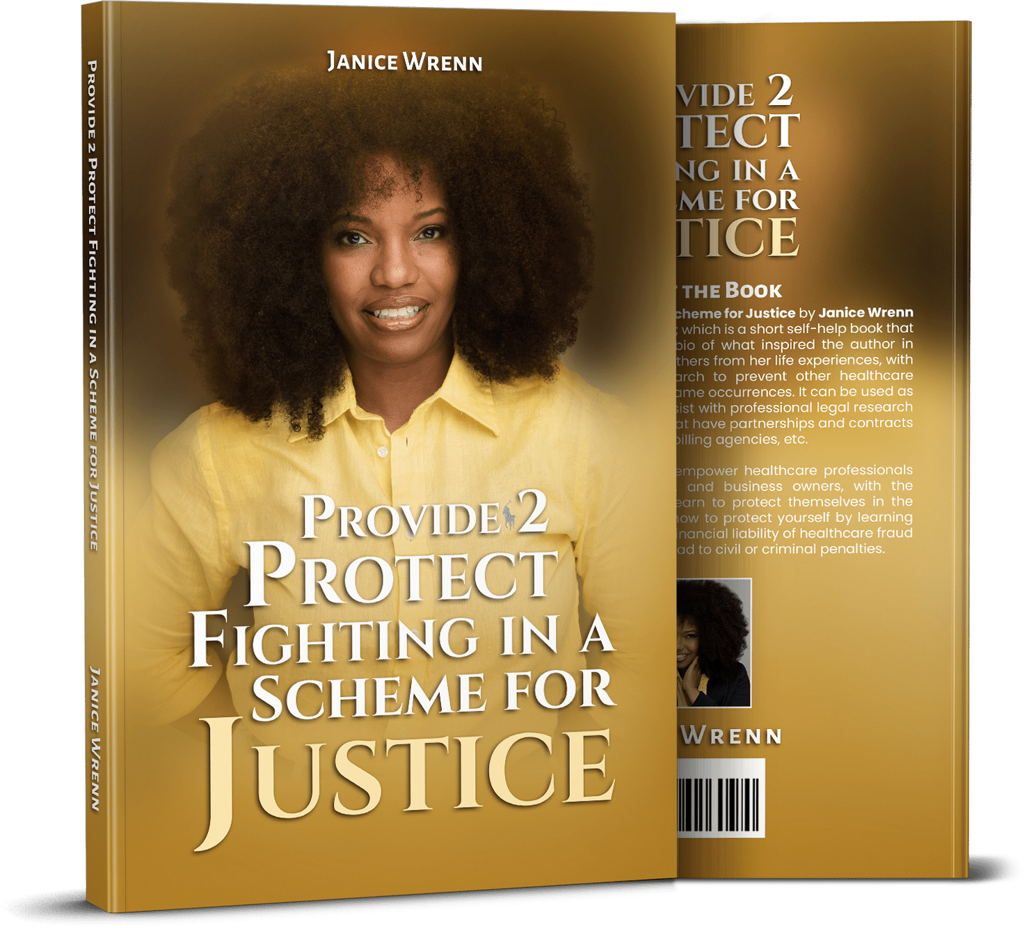 Provide 2 Protect Fighting In A Scheme For Justice book
